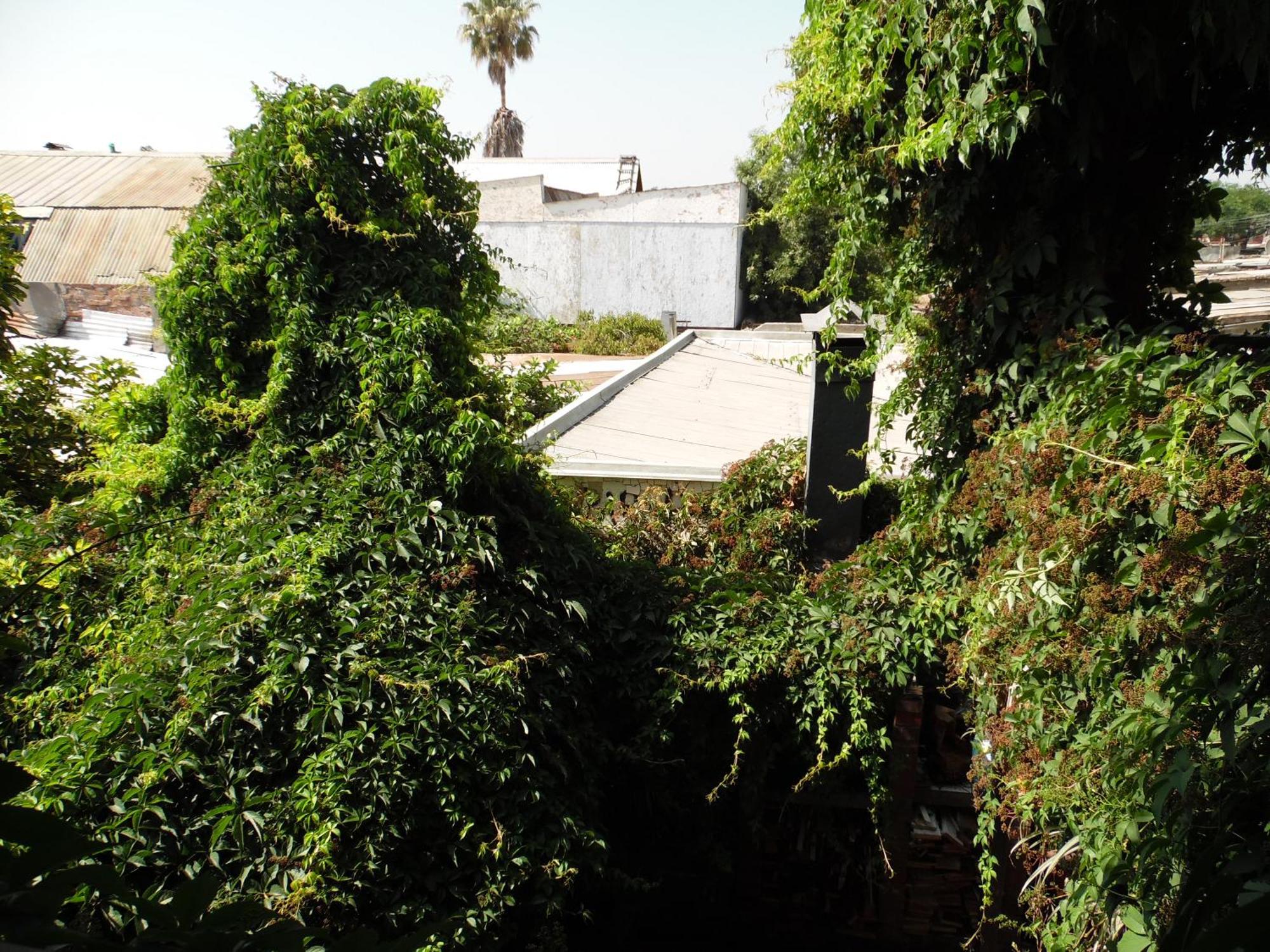 Casa Rosa Hostel, Santiago